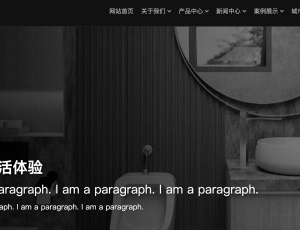 卫浴五金行业网站模板