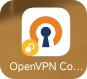 openvpn client